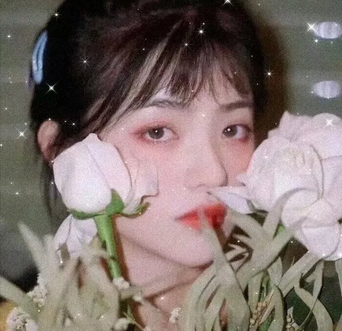 最后的贵族